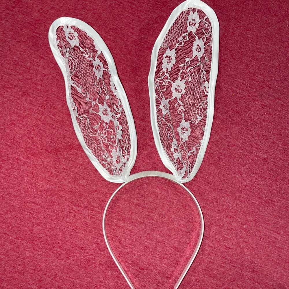 Bunny ears rabbit ears